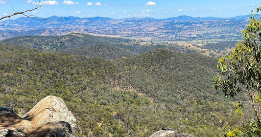 The History of Fossicking in the Northern Rivers Region of New South Wales, Australia